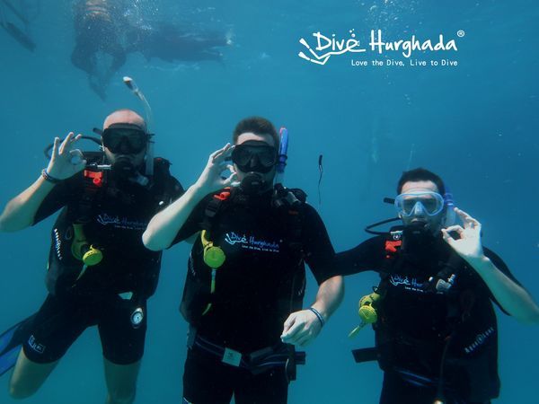8 Habits of the Highly Recommended Scuba Diving Schools in Egypt